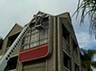 Sign Removal